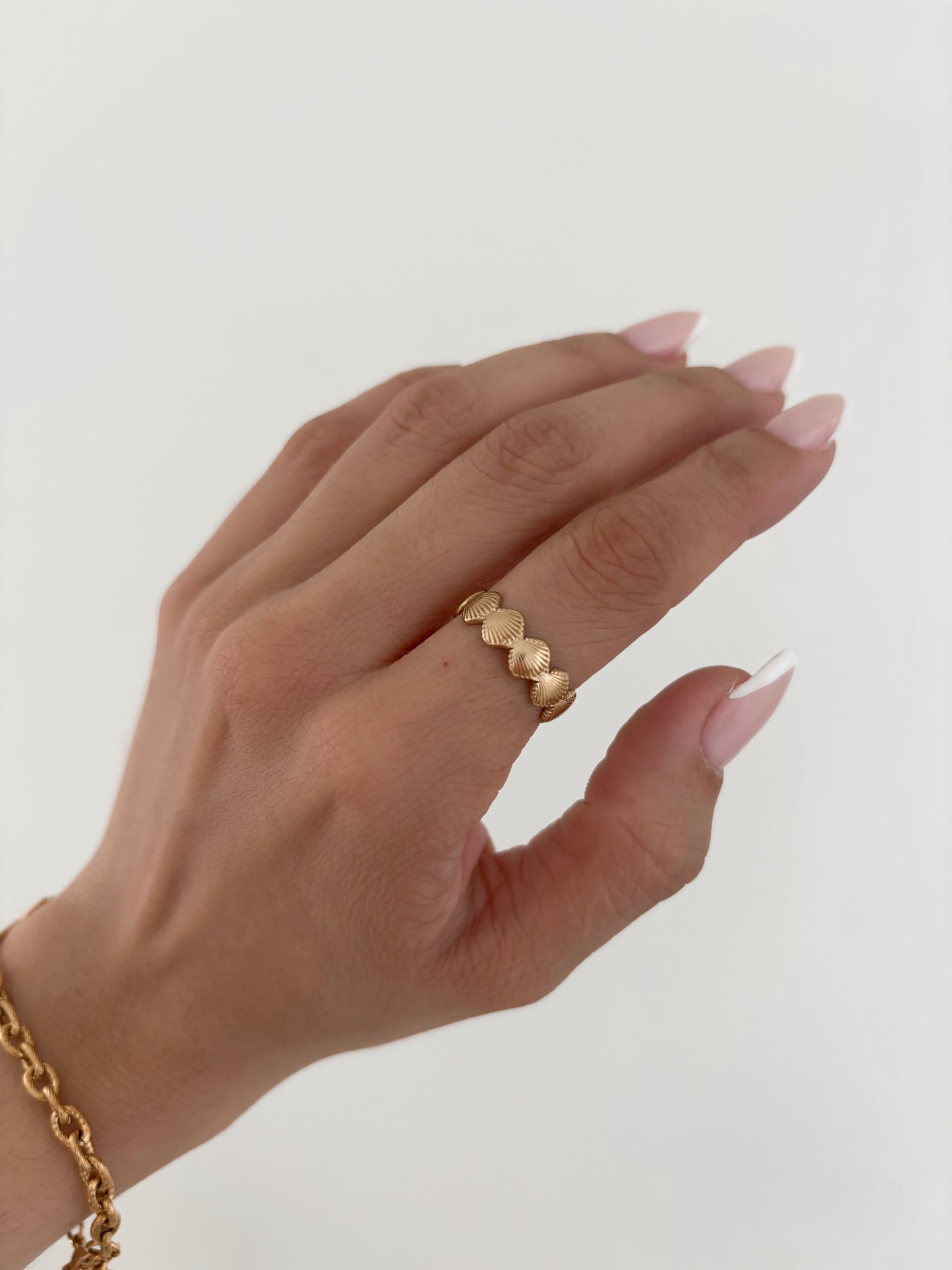 Rounded Shell Ring