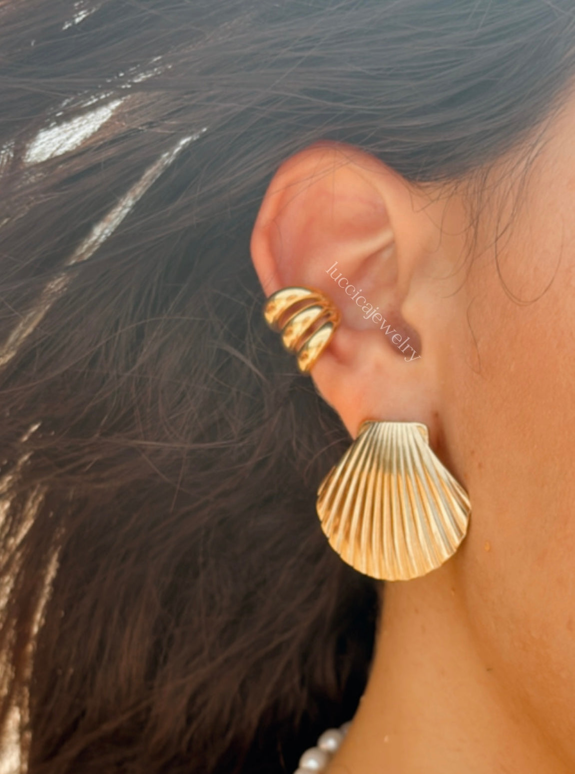 Shell Earrings