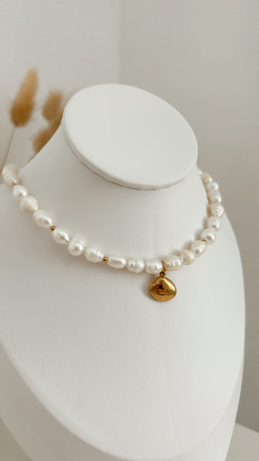 Shell Choker